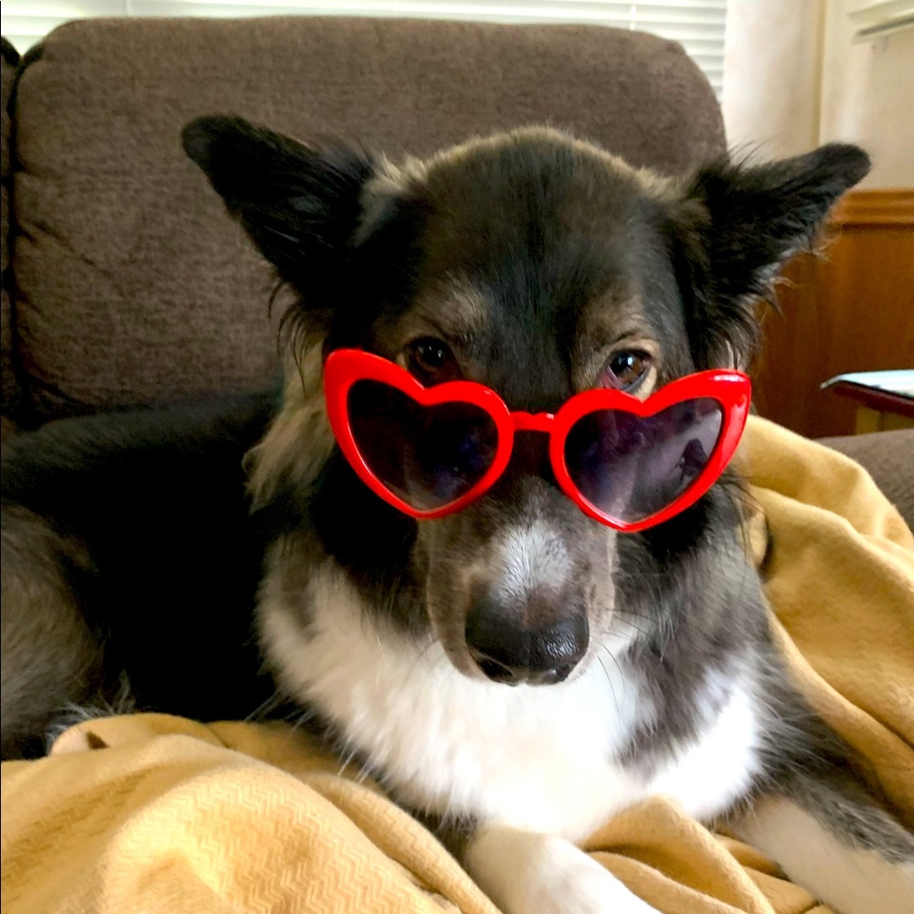 Meet your Posher, Mike